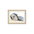 Picture of Sleeping Monkey _GroupedProduct_Rectangle_Landscape_Mini_ _GroupedProduct_Rectangle_Landscape_Framed_Matted_