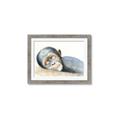 Picture of Sleeping Monkey _GroupedProduct_Rectangle_Landscape_Mini_ _GroupedProduct_Rectangle_Landscape_Framed_Matted_