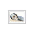 Picture of Sleeping Monkey _GroupedProduct_Rectangle_Landscape_Mini_ _GroupedProduct_Rectangle_Landscape_Framed_Matted_