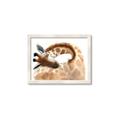 Picture of Sleeping Giraffe _GroupedProduct_Rectangle_Landscape_Mini_ _GroupedProduct_Rectangle_Landscape_Framed_Matted_