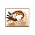 Picture of Sleeping Giraffe _GroupedProduct_Rectangle_Landscape_Mini_ _GroupedProduct_Rectangle_Landscape_Framed_Matted_