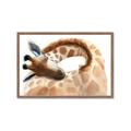 Picture of Sleeping Giraffe _GroupedProduct_Rectangle_Landscape_Mini_ _GroupedProduct_Rectangle_Landscape_Framed_Matted_