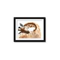 Picture of Sleeping Giraffe _GroupedProduct_Rectangle_Landscape_Mini_ _GroupedProduct_Rectangle_Landscape_Framed_Matted_