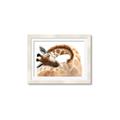 Picture of Sleeping Giraffe _GroupedProduct_Rectangle_Landscape_Mini_ _GroupedProduct_Rectangle_Landscape_Framed_Matted_