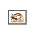 Picture of Sleeping Giraffe _GroupedProduct_Rectangle_Landscape_Mini_ _GroupedProduct_Rectangle_Landscape_Framed_Matted_