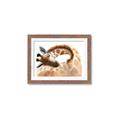 Picture of Sleeping Giraffe _GroupedProduct_Rectangle_Landscape_Mini_ _GroupedProduct_Rectangle_Landscape_Framed_Matted_