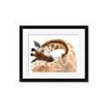 Picture of Sleeping Giraffe _GroupedProduct_Rectangle_Landscape_Mini_ _GroupedProduct_Rectangle_Landscape_Framed_Matted_