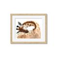Picture of Sleeping Giraffe _GroupedProduct_Rectangle_Landscape_Mini_ _GroupedProduct_Rectangle_Landscape_Framed_Matted_