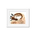 Picture of Sleeping Giraffe _GroupedProduct_Rectangle_Landscape_Mini_ _GroupedProduct_Rectangle_Landscape_Framed_Matted_