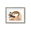 Picture of Sleeping Giraffe _GroupedProduct_Rectangle_Landscape_Mini_ _GroupedProduct_Rectangle_Landscape_Framed_Matted_