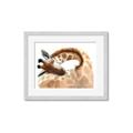 Picture of Sleeping Giraffe _GroupedProduct_Rectangle_Landscape_Mini_ _GroupedProduct_Rectangle_Landscape_Framed_Matted_