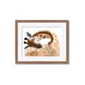 Picture of Sleeping Giraffe _GroupedProduct_Rectangle_Landscape_Mini_ _GroupedProduct_Rectangle_Landscape_Framed_Matted_