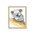 Picture of Sleeping Koala I _GroupedProduct_Rectangle_Portrait_Mini_ _GroupedProduct_Rectangle_Portrait_Framed_Matted_
