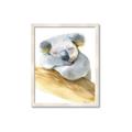 Picture of Sleeping Koala I _GroupedProduct_Rectangle_Portrait_Mini_ _GroupedProduct_Rectangle_Portrait_Framed_Matted_