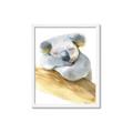 Picture of Sleeping Koala I _GroupedProduct_Rectangle_Portrait_Mini_ _GroupedProduct_Rectangle_Portrait_Framed_Matted_