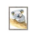 Picture of Sleeping Koala I _GroupedProduct_Rectangle_Portrait_Mini_ _GroupedProduct_Rectangle_Portrait_Framed_Matted_