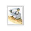 Picture of Sleeping Koala I _GroupedProduct_Rectangle_Portrait_Mini_ _GroupedProduct_Rectangle_Portrait_Framed_Matted_