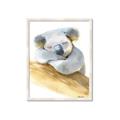 Picture of Sleeping Koala I _GroupedProduct_Rectangle_Portrait_Mini_ _GroupedProduct_Rectangle_Portrait_Framed_Matted_
