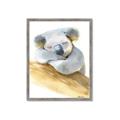 Picture of Sleeping Koala I _GroupedProduct_Rectangle_Portrait_Mini_ _GroupedProduct_Rectangle_Portrait_Framed_Matted_
