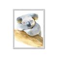 Picture of Sleeping Koala I _GroupedProduct_Rectangle_Portrait_Mini_ _GroupedProduct_Rectangle_Portrait_Framed_Matted_