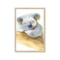 Picture of Sleeping Koala I _GroupedProduct_Rectangle_Portrait_Mini_ _GroupedProduct_Rectangle_Portrait_Framed_Matted_