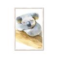 Picture of Sleeping Koala I _GroupedProduct_Rectangle_Portrait_Mini_ _GroupedProduct_Rectangle_Portrait_Framed_Matted_