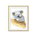 Picture of Sleeping Koala I _GroupedProduct_Rectangle_Portrait_Mini_ _GroupedProduct_Rectangle_Portrait_Framed_Matted_