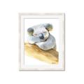 Picture of Sleeping Koala I _GroupedProduct_Rectangle_Portrait_Mini_ _GroupedProduct_Rectangle_Portrait_Framed_Matted_