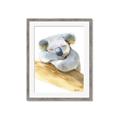 Picture of Sleeping Koala I _GroupedProduct_Rectangle_Portrait_Mini_ _GroupedProduct_Rectangle_Portrait_Framed_Matted_