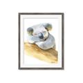 Picture of Sleeping Koala I _GroupedProduct_Rectangle_Portrait_Mini_ _GroupedProduct_Rectangle_Portrait_Framed_Matted_