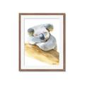 Picture of Sleeping Koala I _GroupedProduct_Rectangle_Portrait_Mini_ _GroupedProduct_Rectangle_Portrait_Framed_Matted_