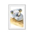 Picture of Sleeping Koala I _GroupedProduct_Rectangle_Portrait_Mini_ _GroupedProduct_Rectangle_Portrait_Framed_Matted_