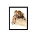 Picture of Sleeping Tiger _GroupedProduct_Rectangle_Portrait_Mini_ _GroupedProduct_Rectangle_Portrait_Framed_Matted_
