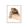 Picture of Sleeping Tiger _GroupedProduct_Rectangle_Portrait_Mini_ _GroupedProduct_Rectangle_Portrait_Framed_Matted_