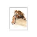 Picture of Sleeping Tiger _GroupedProduct_Rectangle_Portrait_Mini_ _GroupedProduct_Rectangle_Portrait_Framed_Matted_