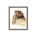 Picture of Sleeping Tiger _GroupedProduct_Rectangle_Portrait_Mini_ _GroupedProduct_Rectangle_Portrait_Framed_Matted_