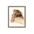 Picture of Sleeping Tiger _GroupedProduct_Rectangle_Portrait_Mini_ _GroupedProduct_Rectangle_Portrait_Framed_Matted_