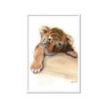 Picture of Sleeping Tiger _GroupedProduct_Rectangle_Portrait_Mini_ _GroupedProduct_Rectangle_Portrait_Framed_Matted_