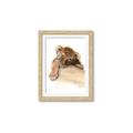 Picture of Sleeping Tiger _GroupedProduct_Rectangle_Portrait_Mini_ _GroupedProduct_Rectangle_Portrait_Framed_Matted_