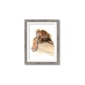Picture of Sleeping Tiger _GroupedProduct_Rectangle_Portrait_Mini_ _GroupedProduct_Rectangle_Portrait_Framed_Matted_
