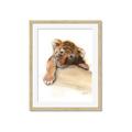 Picture of Sleeping Tiger _GroupedProduct_Rectangle_Portrait_Mini_ _GroupedProduct_Rectangle_Portrait_Framed_Matted_
