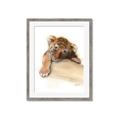 Picture of Sleeping Tiger _GroupedProduct_Rectangle_Portrait_Mini_ _GroupedProduct_Rectangle_Portrait_Framed_Matted_