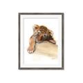 Picture of Sleeping Tiger _GroupedProduct_Rectangle_Portrait_Mini_ _GroupedProduct_Rectangle_Portrait_Framed_Matted_