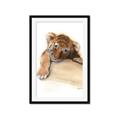 Picture of Sleeping Tiger _GroupedProduct_Rectangle_Portrait_Mini_ _GroupedProduct_Rectangle_Portrait_Framed_Matted_