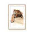 Picture of Sleeping Tiger _GroupedProduct_Rectangle_Portrait_Mini_ _GroupedProduct_Rectangle_Portrait_Framed_Matted_