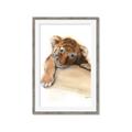 Picture of Sleeping Tiger _GroupedProduct_Rectangle_Portrait_Mini_ _GroupedProduct_Rectangle_Portrait_Framed_Matted_