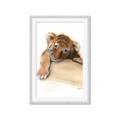 Picture of Sleeping Tiger _GroupedProduct_Rectangle_Portrait_Mini_ _GroupedProduct_Rectangle_Portrait_Framed_Matted_