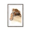 Picture of Sleeping Tiger _GroupedProduct_Rectangle_Portrait_Mini_ _GroupedProduct_Rectangle_Portrait_Framed_Matted_