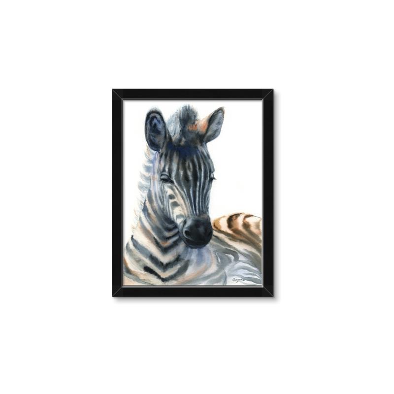 Picture of Sleeping Zebra _GroupedProduct_Rectangle_Portrait_Mini_ _GroupedProduct_Rectangle_Portrait_Framed_Matted_