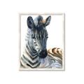 Picture of Sleeping Zebra _GroupedProduct_Rectangle_Portrait_Mini_ _GroupedProduct_Rectangle_Portrait_Framed_Matted_